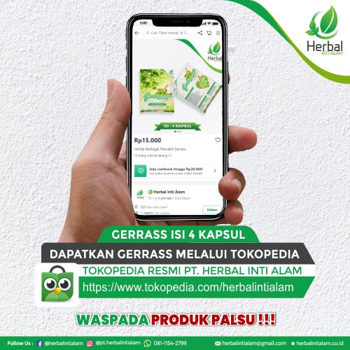 Tokopedia Gerras 4 Kapsul